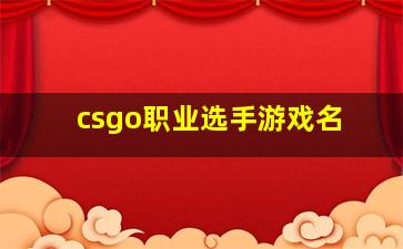 csgo职业选手游戏名