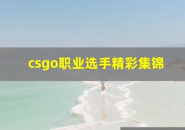 csgo职业选手精彩集锦