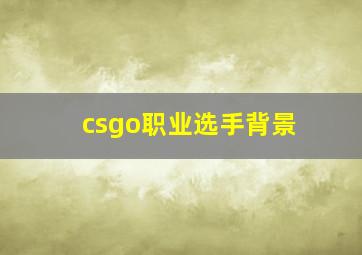 csgo职业选手背景