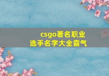 csgo著名职业选手名字大全霸气