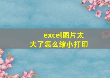 excel图片太大了怎么缩小打印