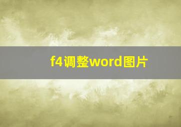 f4调整word图片