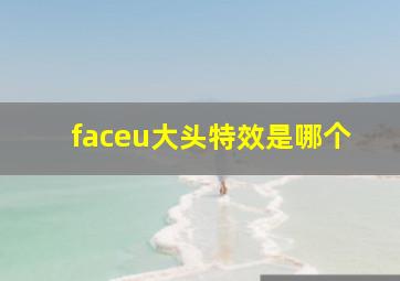 faceu大头特效是哪个