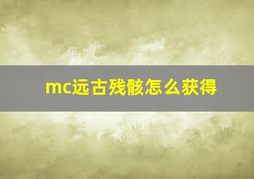 mc远古残骸怎么获得