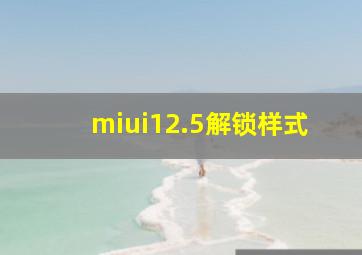 miui12.5解锁样式