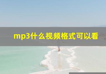 mp3什么视频格式可以看