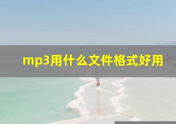 mp3用什么文件格式好用