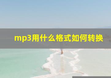 mp3用什么格式如何转换