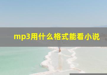 mp3用什么格式能看小说