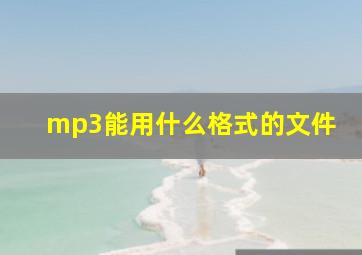 mp3能用什么格式的文件