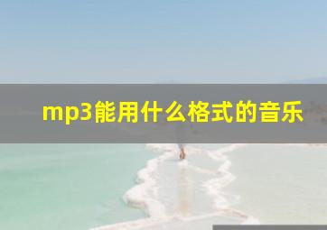 mp3能用什么格式的音乐