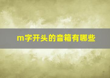 m字开头的音箱有哪些