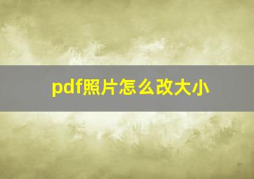 pdf照片怎么改大小