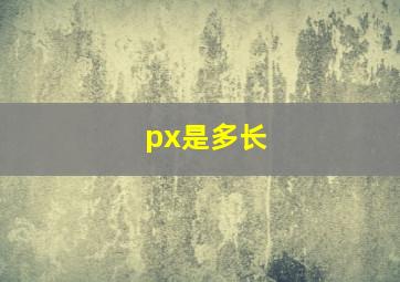 px是多长