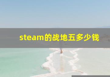 steam的战地五多少钱