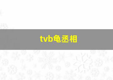 tvb龟丞相