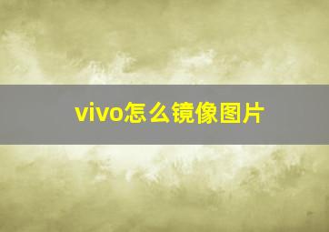 vivo怎么镜像图片