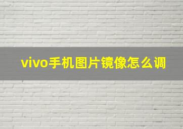 vivo手机图片镜像怎么调