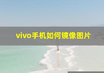 vivo手机如何镜像图片