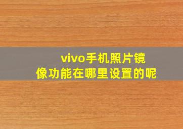 vivo手机照片镜像功能在哪里设置的呢