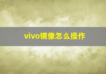 vivo镜像怎么操作