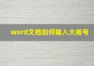 word文档如何输入大括号