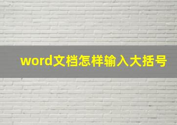 word文档怎样输入大括号