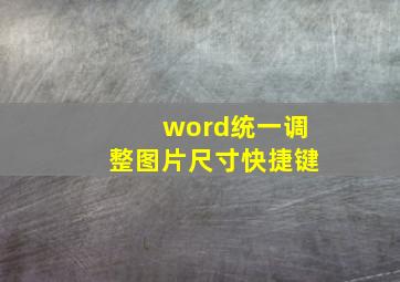 word统一调整图片尺寸快捷键