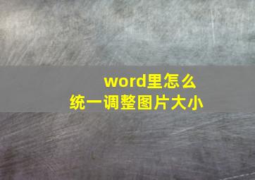 word里怎么统一调整图片大小