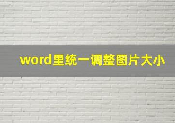 word里统一调整图片大小