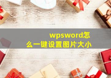 wpsword怎么一键设置图片大小