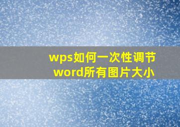 wps如何一次性调节word所有图片大小