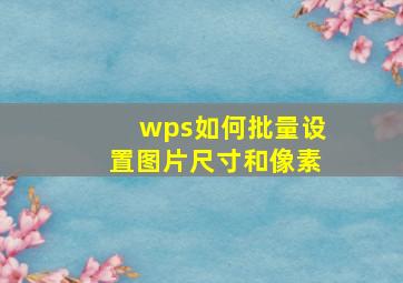 wps如何批量设置图片尺寸和像素