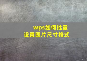 wps如何批量设置图片尺寸格式