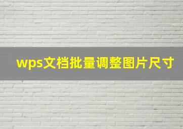 wps文档批量调整图片尺寸