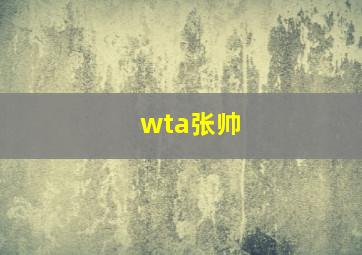 wta张帅