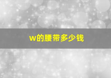 w的腰带多少钱