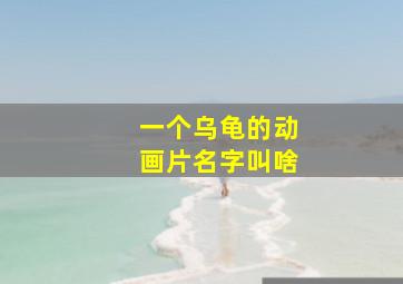 一个乌龟的动画片名字叫啥