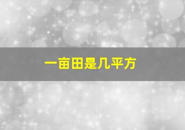 一亩田是几平方