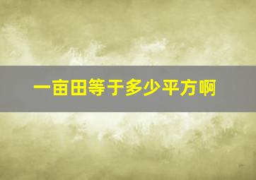 一亩田等于多少平方啊