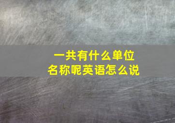 一共有什么单位名称呢英语怎么说