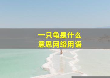 一只龟是什么意思网络用语