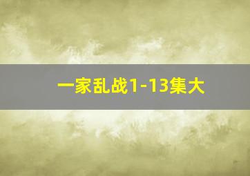 一家乱战1-13集大