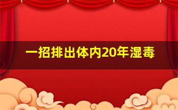 一招排出体内20年湿毒