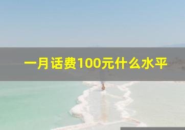 一月话费100元什么水平