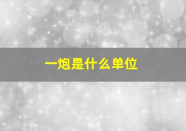 一炮是什么单位