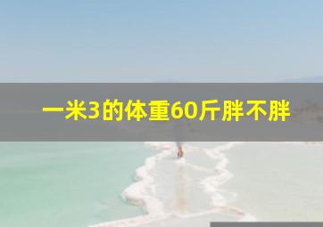 一米3的体重60斤胖不胖