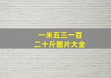 一米五三一百二十斤图片大全