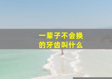 一辈子不会换的牙齿叫什么