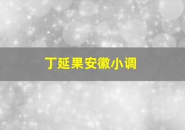 丁延果安徽小调